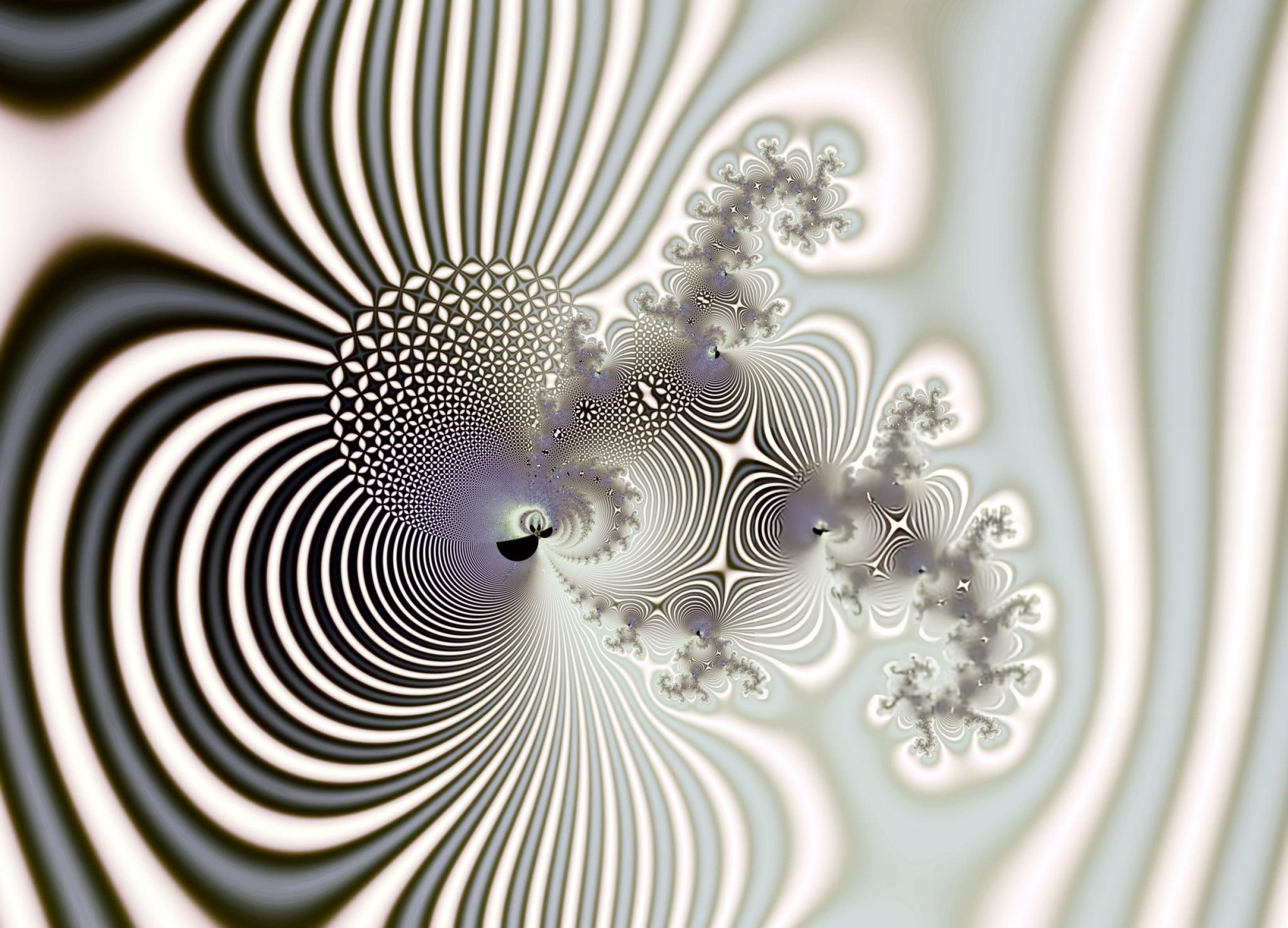 Rethinking the competition of export trade based on the bipartite network